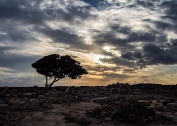 la-siccita-in-sicilia-finira?-alluvioni-e-clima-estremo-basteranno?