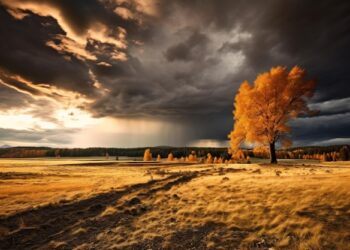 meteo:-cicloni-continui,-l’autunno-persiste-fino-a-novembre