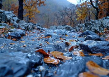 meteo:-dall’alluvione-al-freddo-polare,-l’autunno-si-scatena