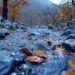 meteo:-dall’alluvione-al-freddo-polare,-l’autunno-si-scatena