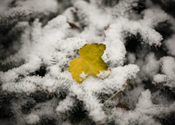 c’e-molta-neve-ma-solo-in-alta-quota,-colpa-del-meteo-di-ottobre