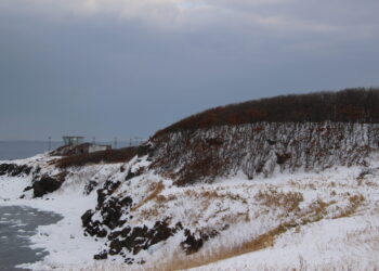 meteo,-freddo-balcanico:-neve-sulle-coste-adriatiche-anche-a-bassa-quota