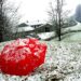 maltempo?-la-prossima-settimana-tra-neve-e-caldo-scirocco,-che-caos!