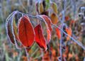 meteo:-freddo-polare-vero,-ma-novembre-finira-peggio