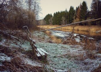 incubo-di-nebbie-invernali,-meteo-inquinato-con-gravi-conseguenze