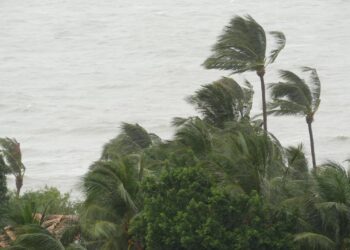 tropicalizzazione-del-mediterraneo:-meteo-e-clima-completamente-cambiati