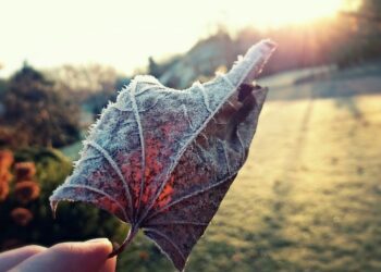 ritorna-il-bel-tempo,-ma-attenzione-alle-gelate:-meteo-del-weekend