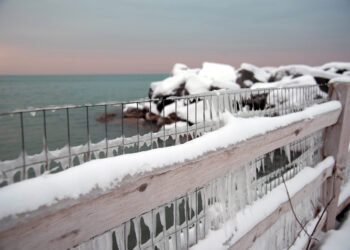 12830 meteo freddo e neve al nord forte libeccio al centro sud 350x250 - METEO LOMBARDIA e Milano, previsioni, news e ambiente