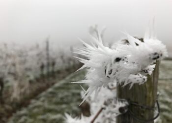 meteo:-gelido-in-russia,-ma-in-italia-solo-briciole