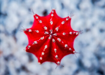 dicembre-con-meteo-instabile