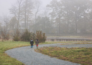 meteo:-dopo-il-freddo,-la-nebbia-ritorna-su-queste-regioni