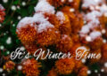 tutto-rimandato-a-fine-novembre-a-causa-di-freddo,-maltempo-e-neve!