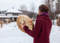 il-desiderio-innato-per-il-meteo-invernale,-della-neve