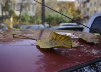 meteo:-disturbo-in-transito,-ritorno-all’autunno,-quanto-durera?