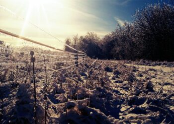 cambio-climatico-ferma-l’inverno.-ma-no