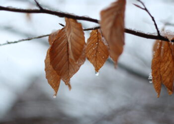 meteo:-temperature-tra-autunno-e-inverno