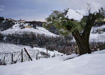 meteo:-forti-nevicate-in-arrivo-in-queste-regioni-italiane