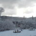 meteo:-confermata-abbondante-nevicata-imminente-su-queste-regioni